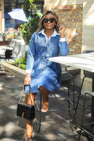 Sasha Denim Dress