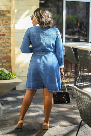 Sasha Denim Dress