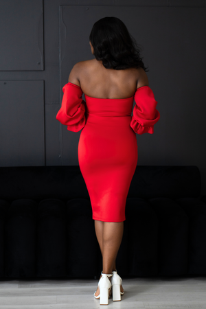 Ruby Bodycon Dress